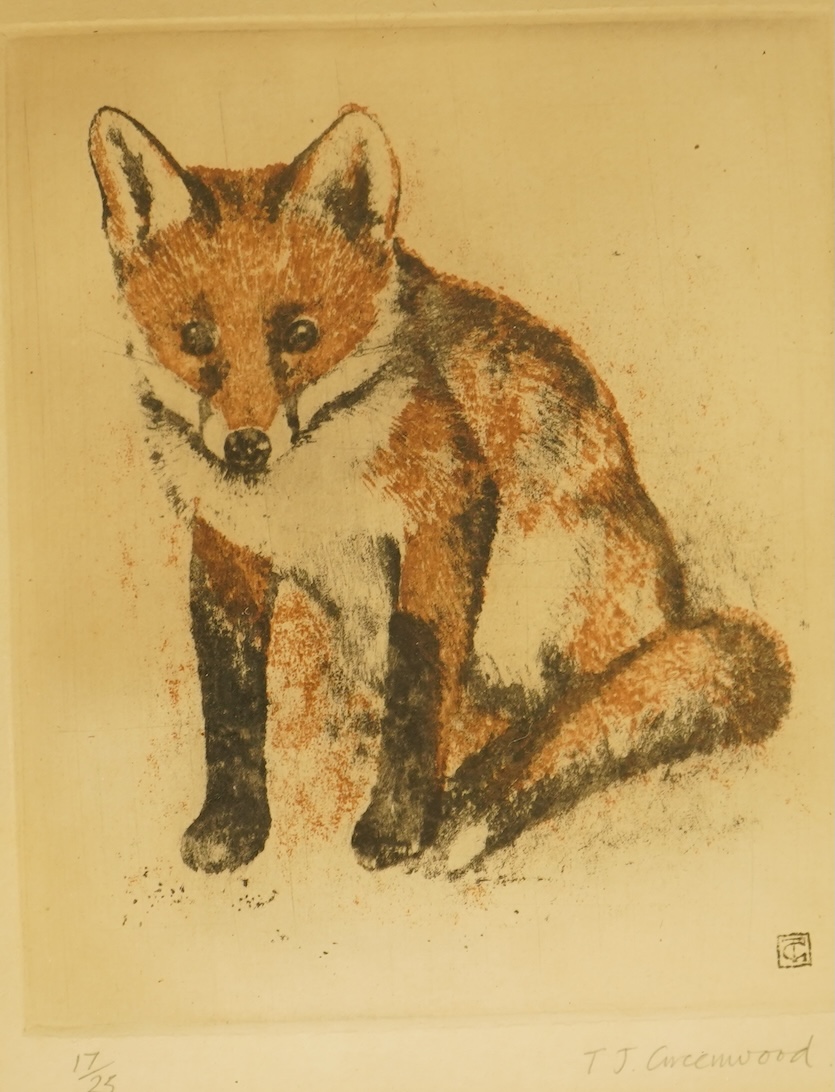 Timothy J. Greenwood (b.1947), Studies of a fox and squirrel, signed in pencil, two limited edition drypoint etchings, 23 x 18cm